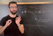 Perfil em destaque: Henrique Danielowski e sua missão de transformar vidas com hipnoterapia e desenvolvimento pessoal